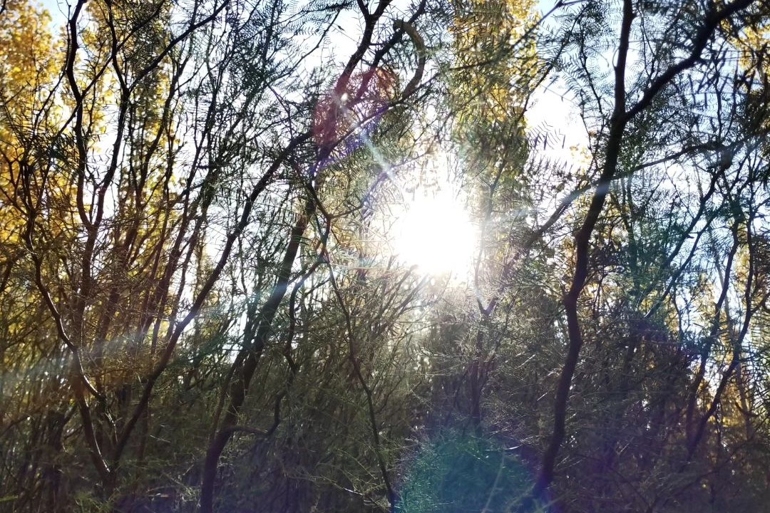 De PALO Eventos | Casona de mate