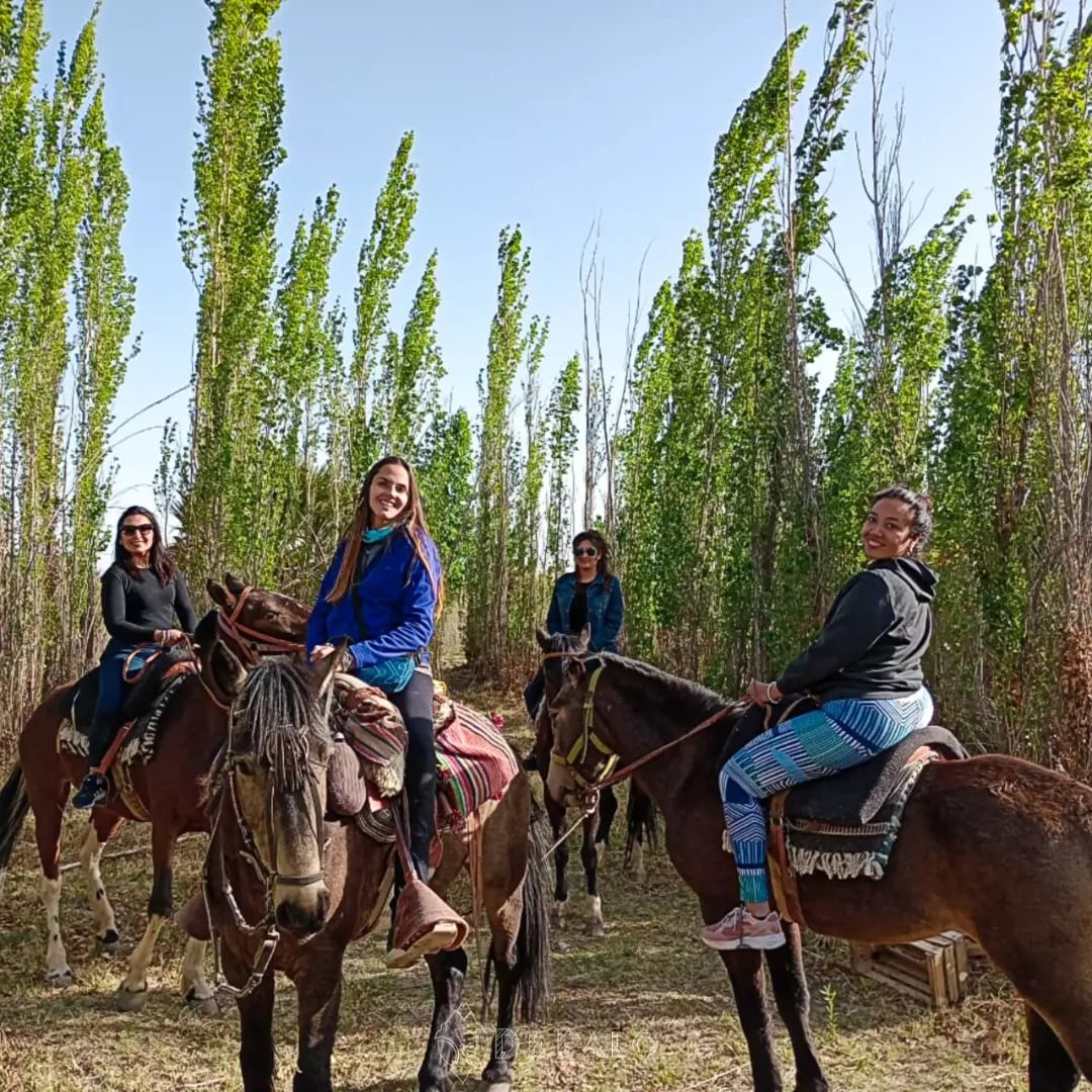de palo eventos ruta del algarrobo san martin san juan cabalgata campo rural equinos recreacion familia