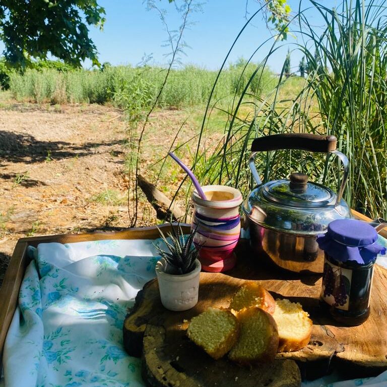 mesa matera entre viñedos actividades merienda ruta del algarrobo