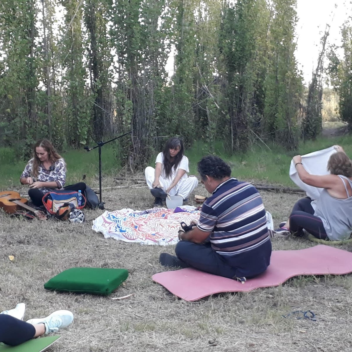Meditación en el bosque de alamos de palo eventos ruta del algarrobo
