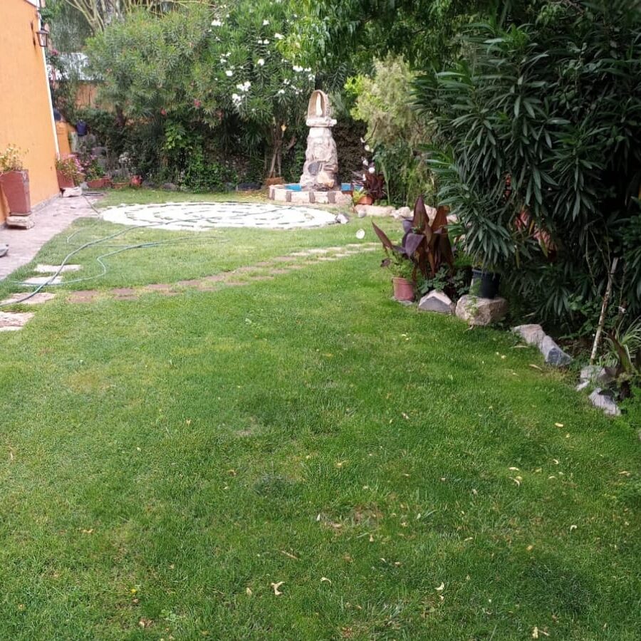 el paraiso salon de eventos patio parquizado