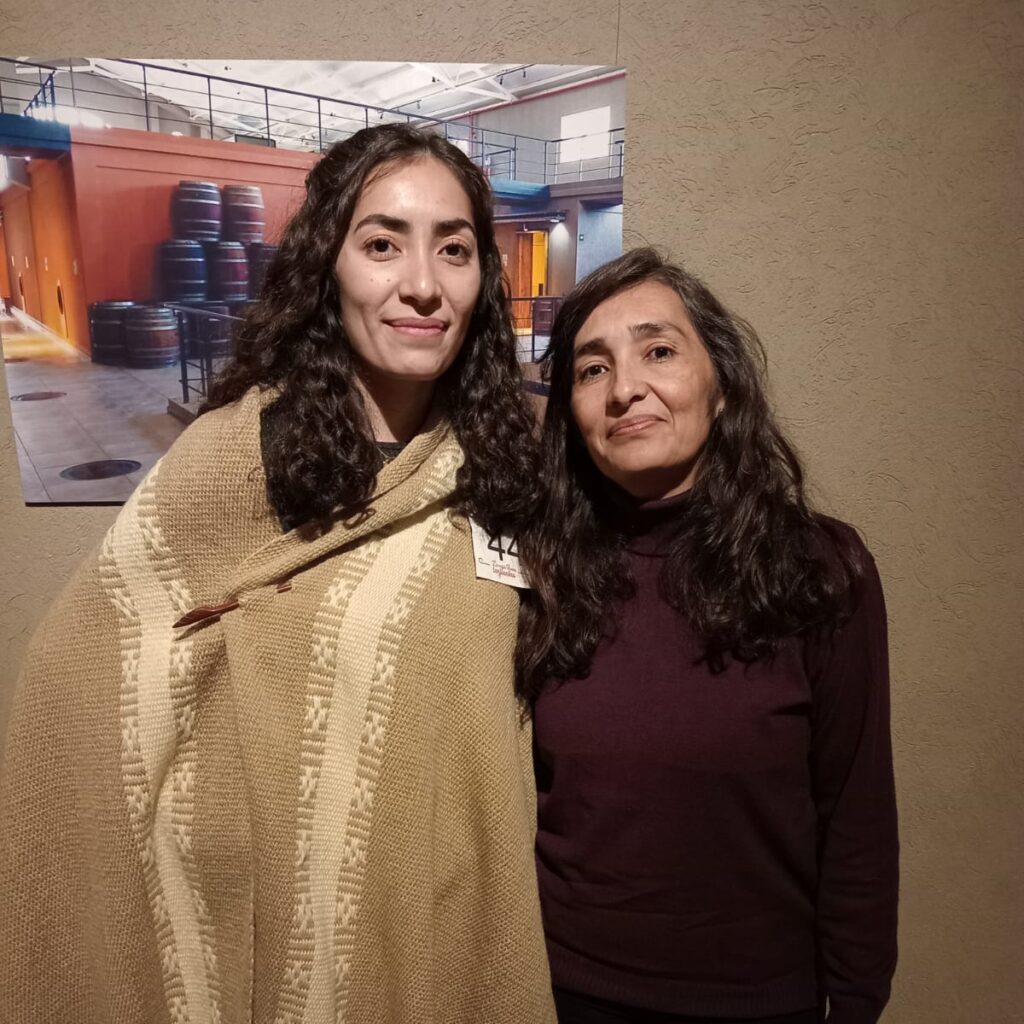 pc tejidos artesanias trabajo manual lanas hilos mantas (2)