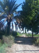 1 bloque 2 1 ingreso a la finca entre viñedos turismo ruta del algarrobo san juan