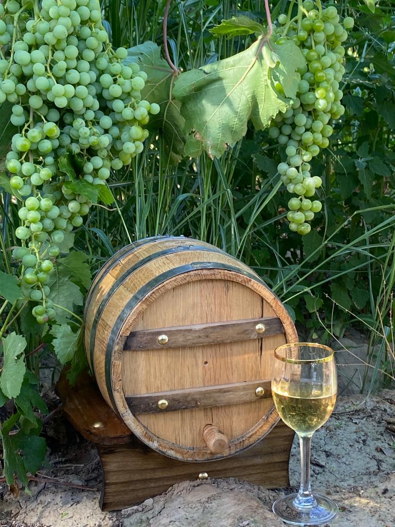 10 bloque 3 c 4 barril entre viñedos turismo ruta del algarrobo san juan