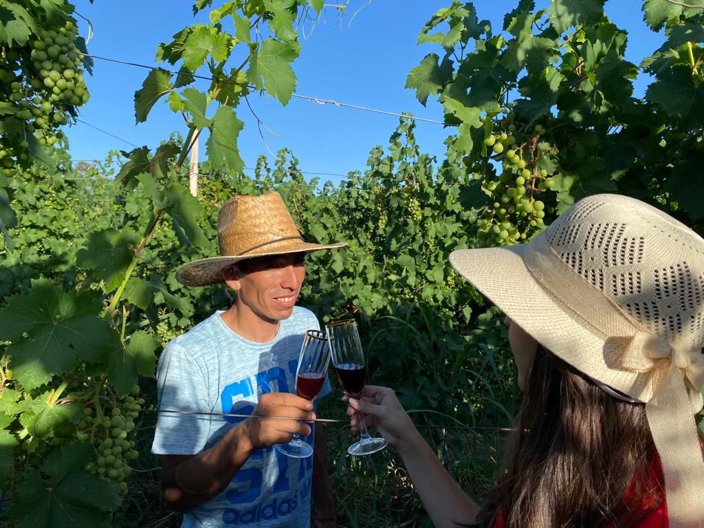 11 bloque 3 c 5 degustando entre viñedos turismo ruta del algarrobo san juan