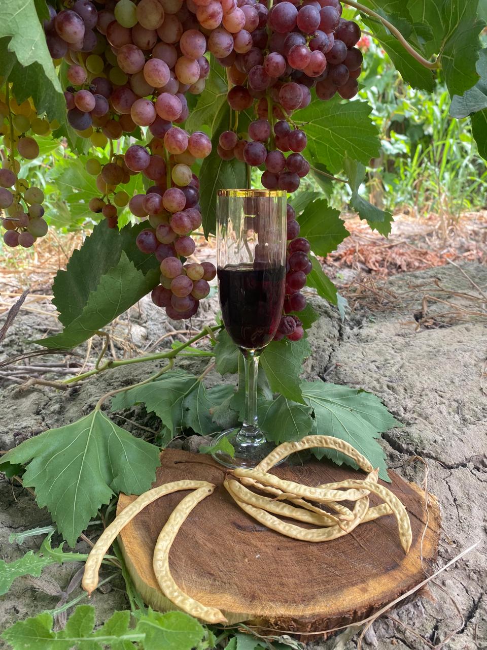 14 algarroba uva vino entre viñedos turismo ruta del algarrobo san juan