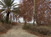 2 bloque 4 3 portal en otoño entre viñedos turismo ruta del algarrobo san juan