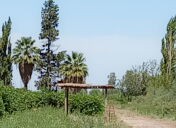 3 bloque 4 1 portal en primavera entre viñedos turismo ruta del algarrobo san juan