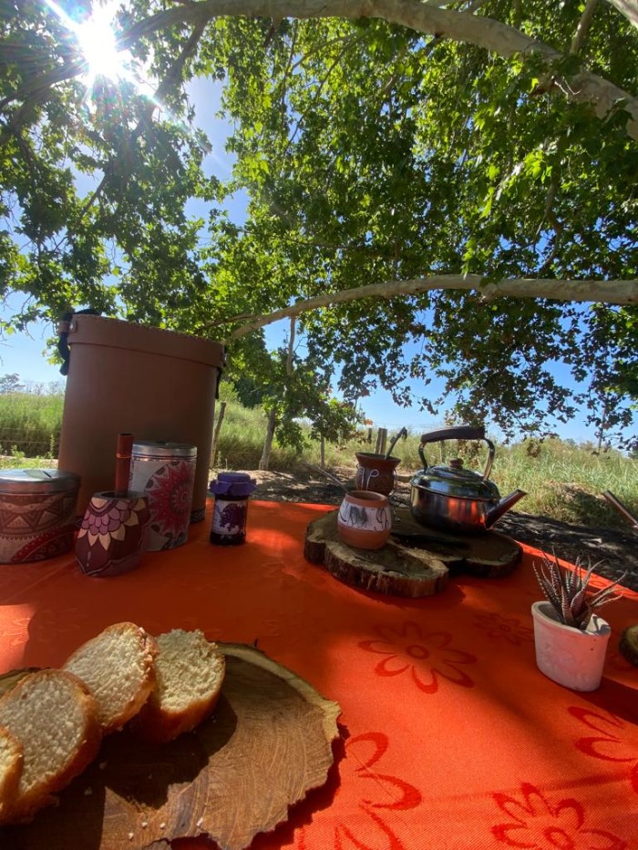 9 bloque 3 c 2 mesa naranja entre viñedos turismo ruta del algarrobo san juan