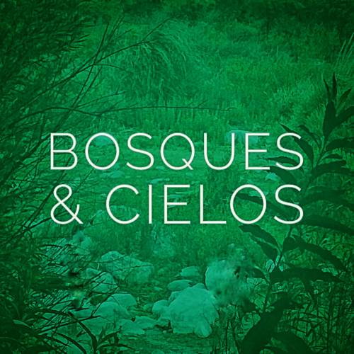 logo bosques y cielos