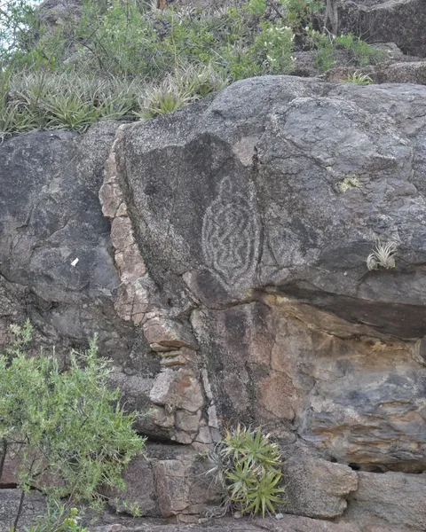 patrimonio cultural y ecologico en valle fertil san juan